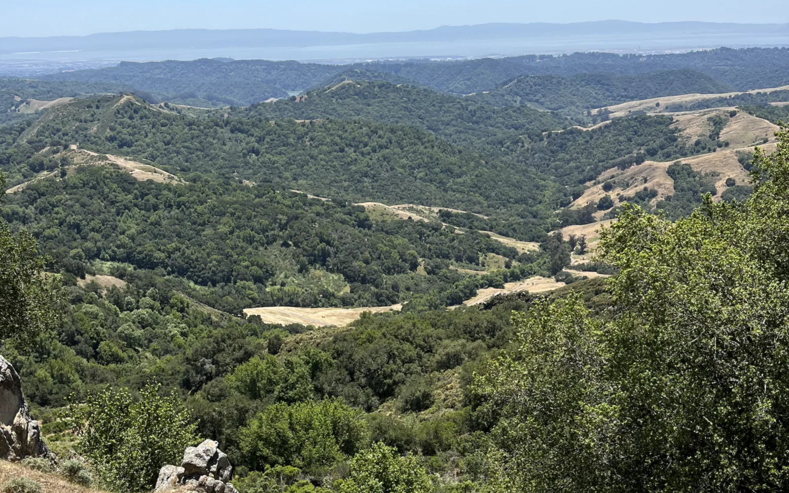 View from Rocky Ridge over the San Leandro Creek watershed toward San Francisco Bay
